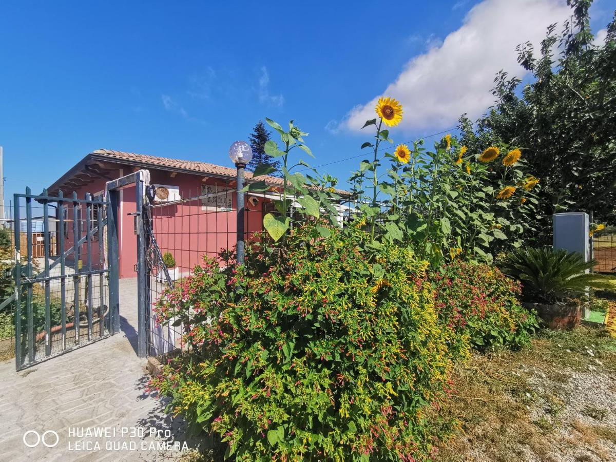 Bed And Breakfast "Anna" Баняра Калабра Екстериор снимка
